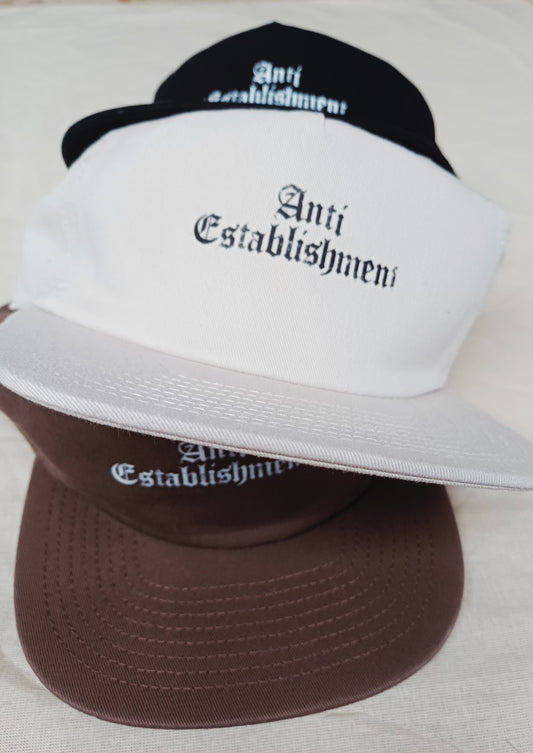 5 panel cap
